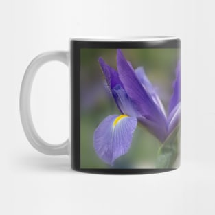 Iris Mug